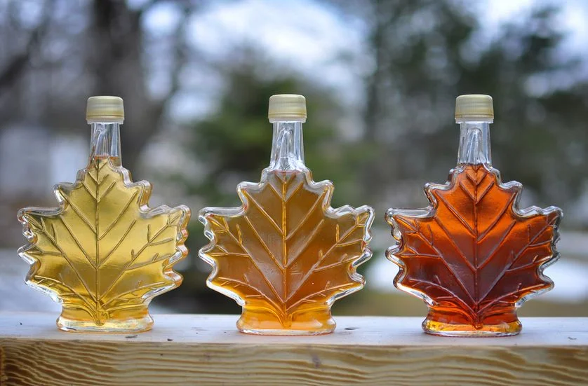 Maple Sugar Tours — Hudson Highlands Nature Center - The Hudson